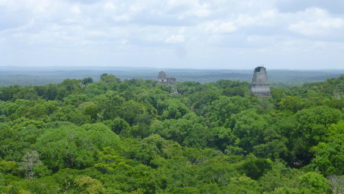 Random Walk Guatemala :  First year perspectives