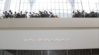 What Flexible Curriculum Means at Booth