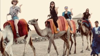 Random Walk 2018: Booth’s Global Orientation