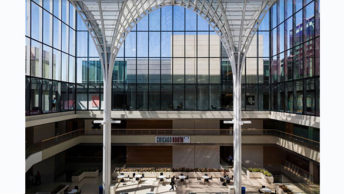 From the Perspective of an Admissions Fellow