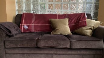 Spring Break 2020: The Homebody Edition